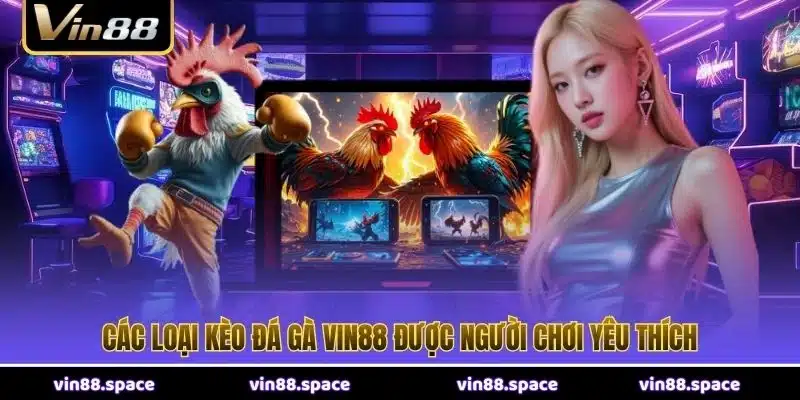 Các loại kèo đá gà VIN88 được người chơi yêu thích