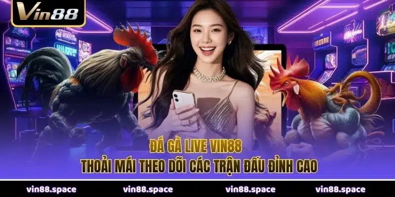 đá gà live