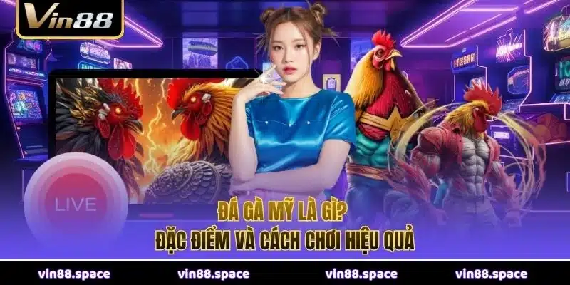 Đá gà Mỹ