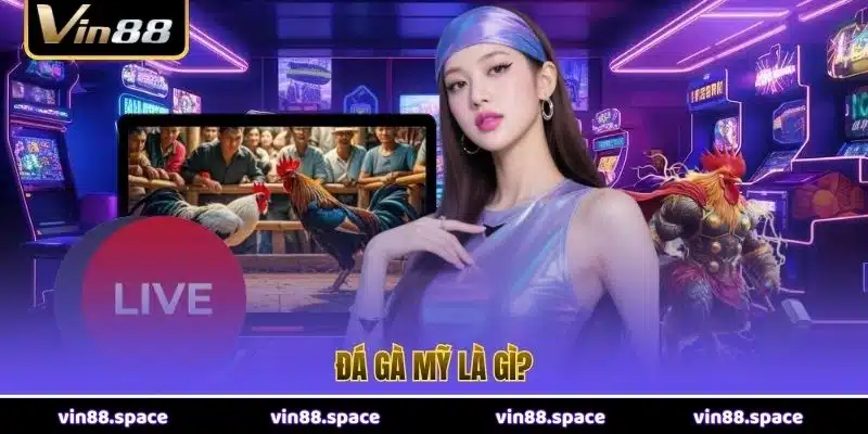 Đá gà Mỹ là gì?