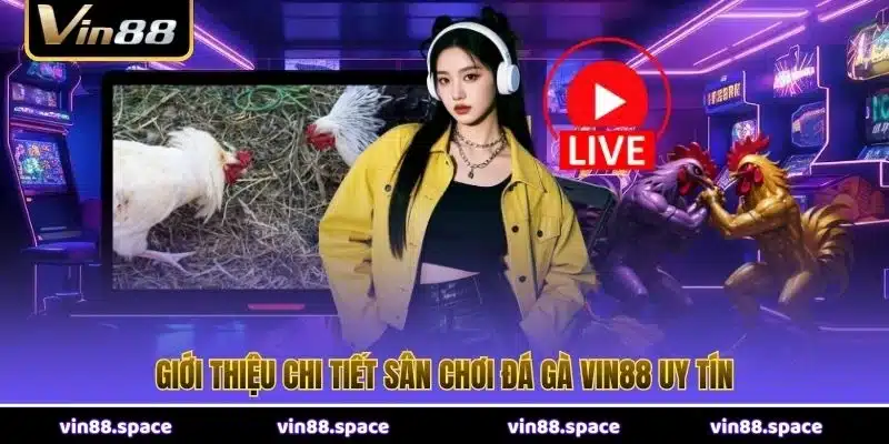 Giới thiệu chi tiết sân chơi đá gà VIN88 uy tín