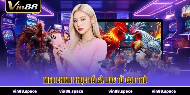 Mẹo chinh phục đá gà live từ cao thủ