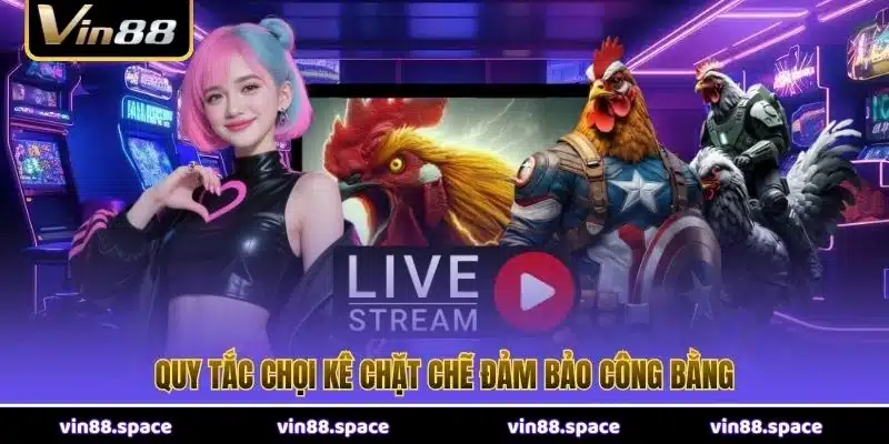 Quy tắc chọi kê chặt chẽ đảm bảo công bằng