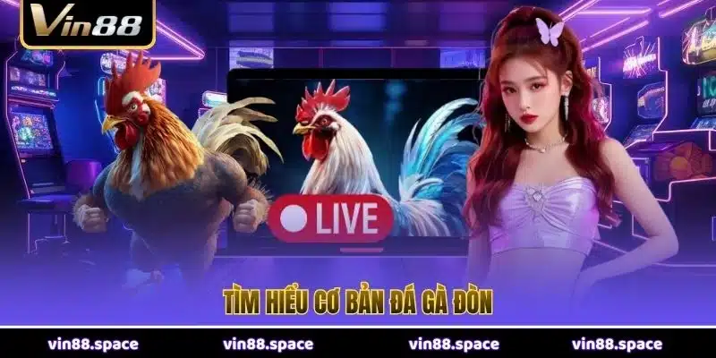 Tìm hiểu cơ bản đá gà đòn