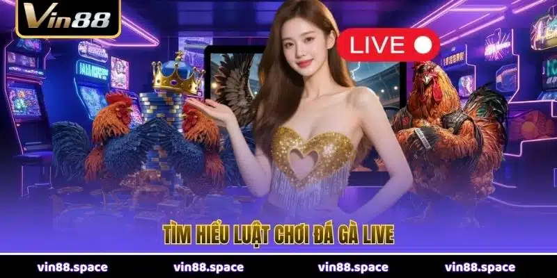 Tìm hiểu luật chơi đá gà live